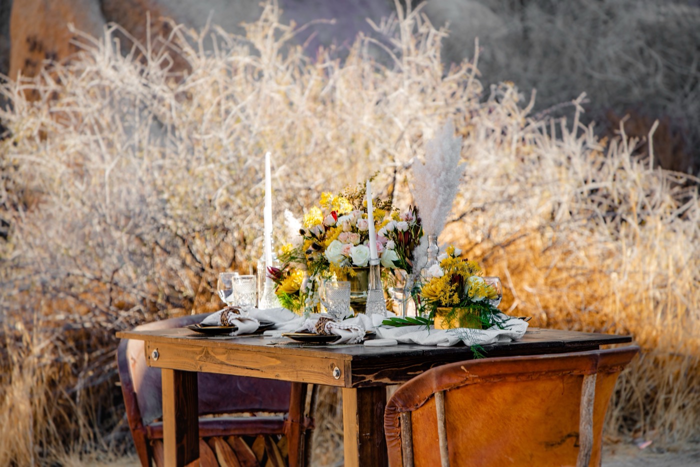 Pride Rock styled shoot